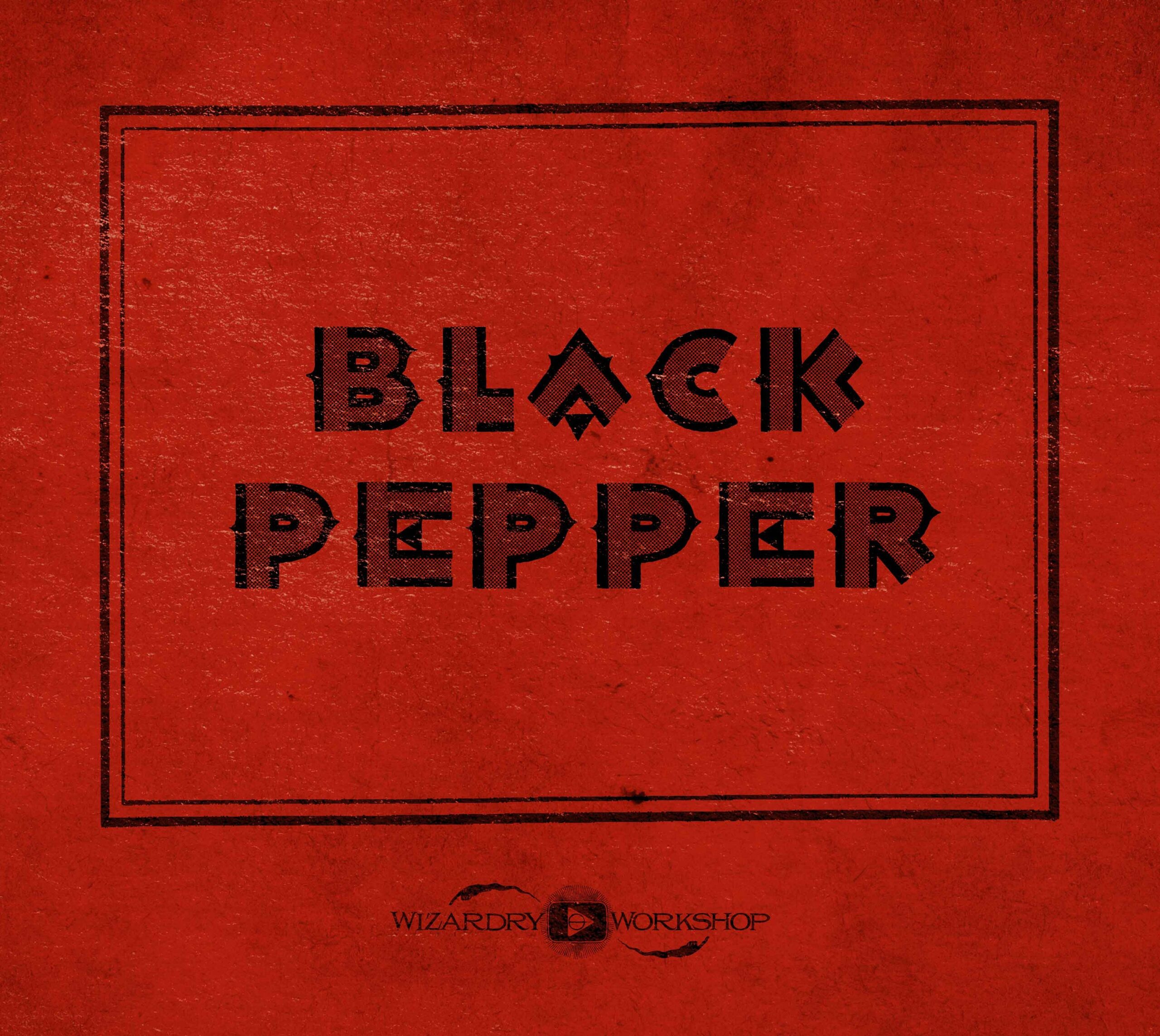 Black Pepper Font Family (4 Fonts) - Image 2
