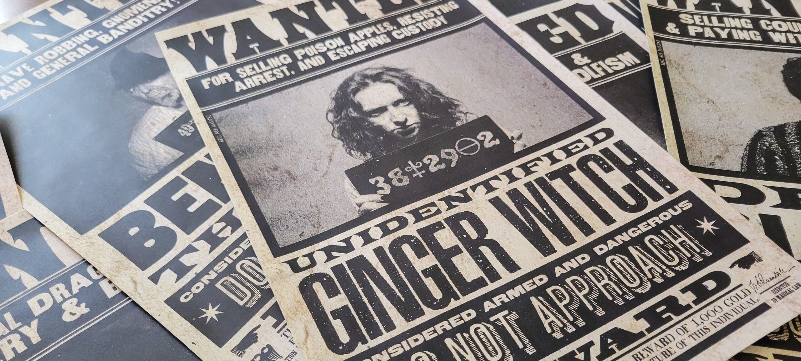 Wanted Poster Editable File - Digital Download - Image 2