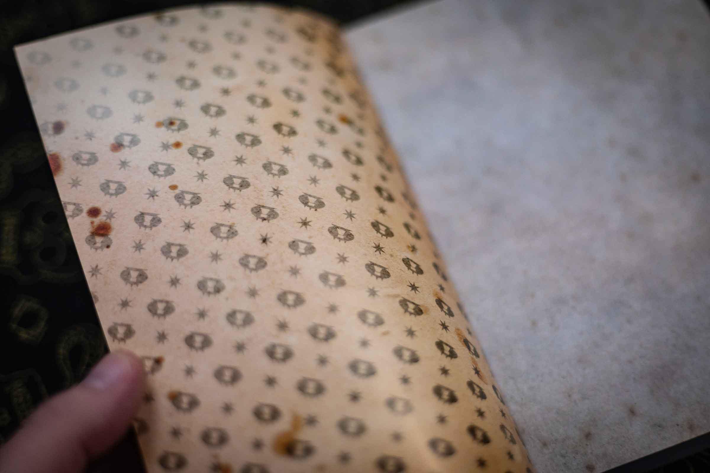 Potions Safety Book - Fully Readable - Image 5