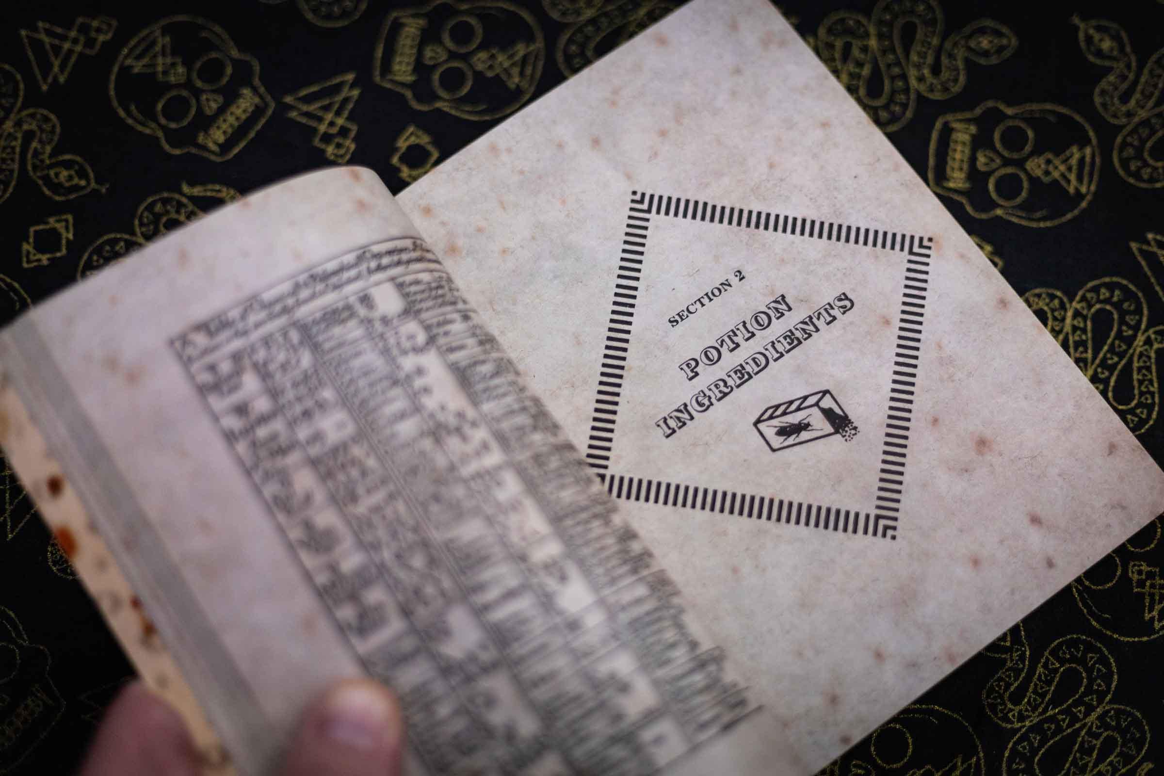 Potions Safety Book - Fully Readable - Image 10